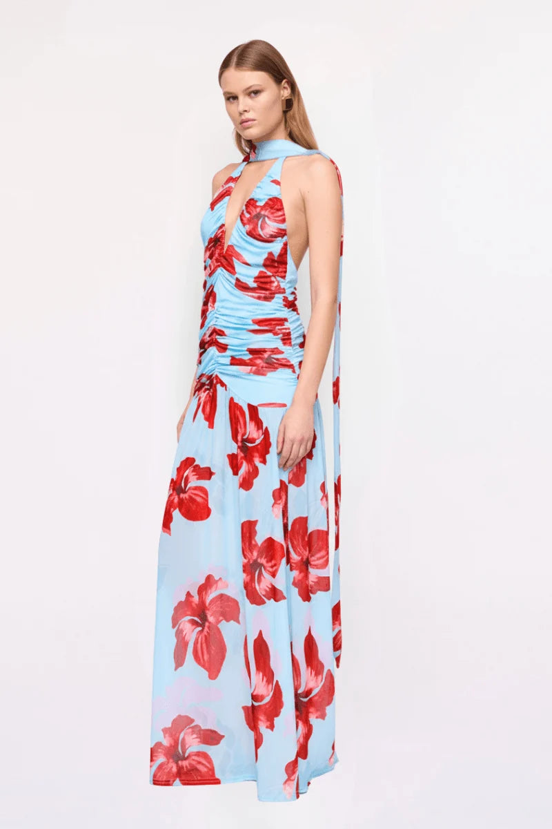 Chloe Floral Halter Mesh Plunge Maxi Dress – Blue Pink By Suboo
