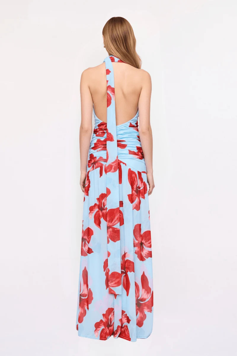 Chloe Floral Halter Mesh Plunge Maxi Dress – Blue Pink By Suboo