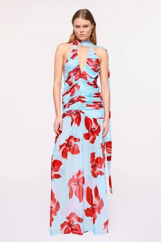 Chloe Floral Halter Mesh Plunge Maxi Dress – Blue Pink By Suboo