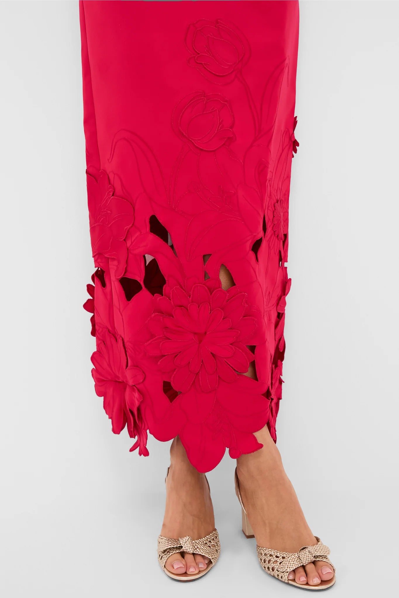 LEO LIN Rayna Appliqué Bustier Maxi Dress - Rosa
